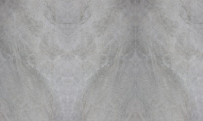 Monte Carlo Vertical Bookmatch