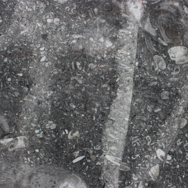Black Marble Slab Detail